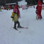 phoca_thumb_m_lye 1.2.  37 Fotogalerie